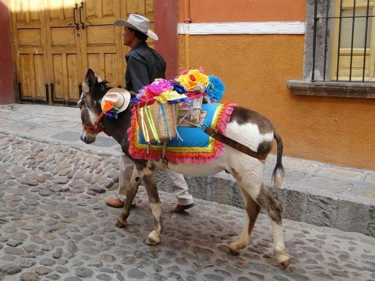 Casa Grande Luxury Boutique Hotel San Miguel de Allende Eksteriør bilde